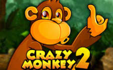 Crazy Monkey 2