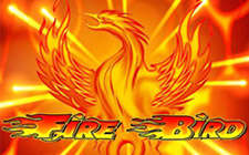 Fire Bird