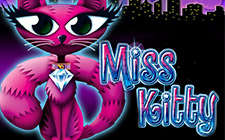 Miss Kitty