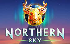 Northern Sky