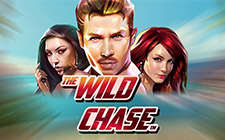Wild Chase