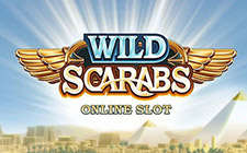 Wild Scarabs